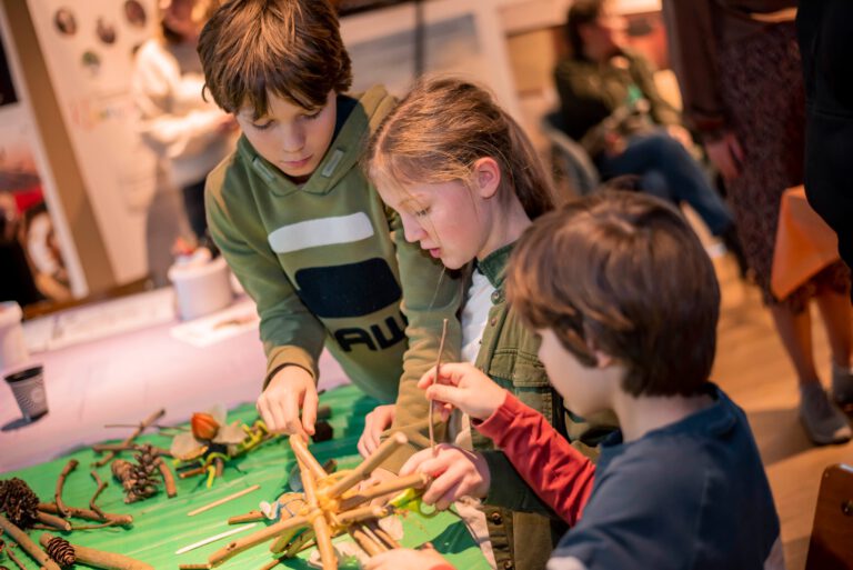 De Swarte Krie van de Deelen - Impact campagne