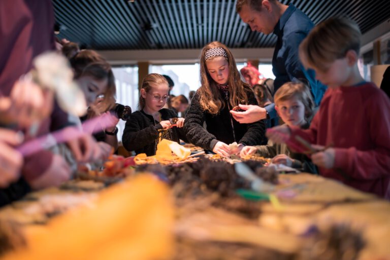 De Swarte Krie van de Deelen - Impact campagne