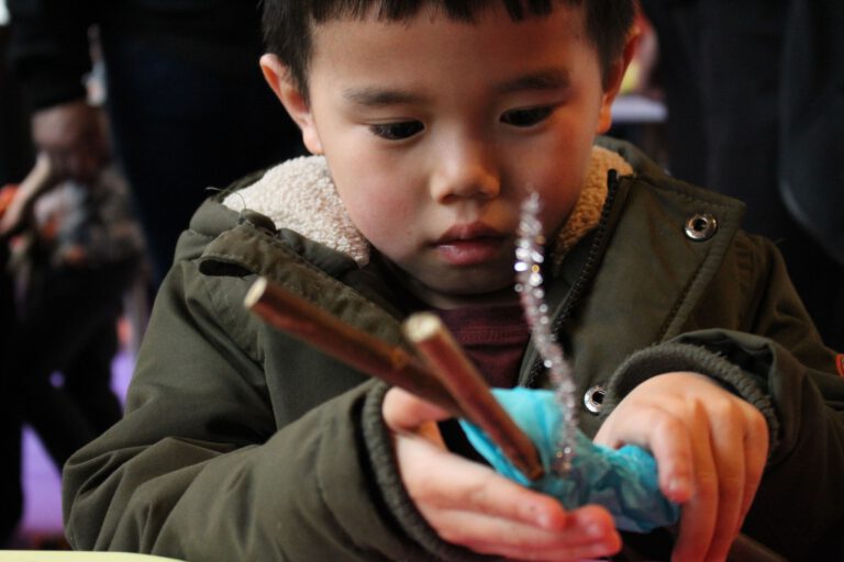 De Swarte Krie van de Deelen - Impact campagne